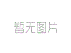 2021年主要业绩